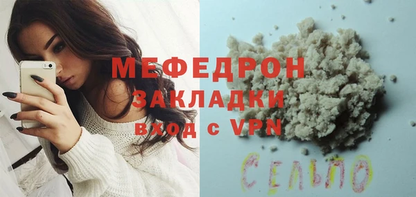 индика Алексин