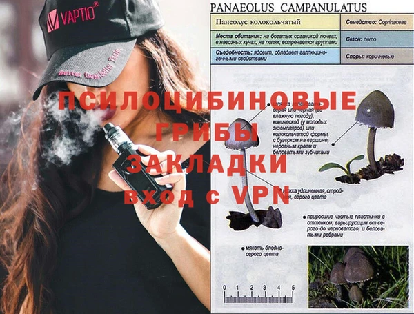трава Алзамай