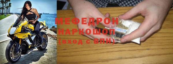 индика Алексин
