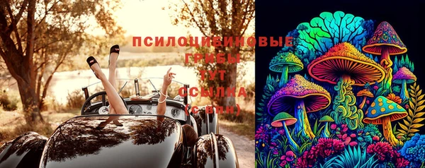 индика Алексин