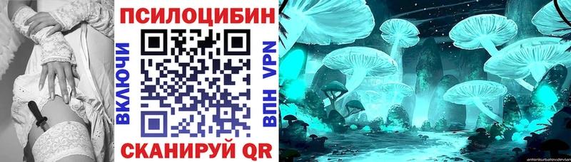 закладки  Кыштым  Псилоцибиновые грибы MAGIC MUSHROOMS 