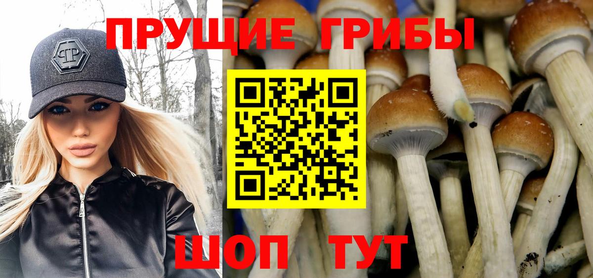 Кыштым  Галлюциногенные грибы Magic Shrooms  Вход с VPN  Псилоцибиновые грибы Magic Shrooms 